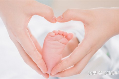http://xiamen.51dzb.net/post/188.html|厦门新闻中心